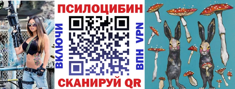 Галлюциногенные грибы прущие грибы  Вязьма 